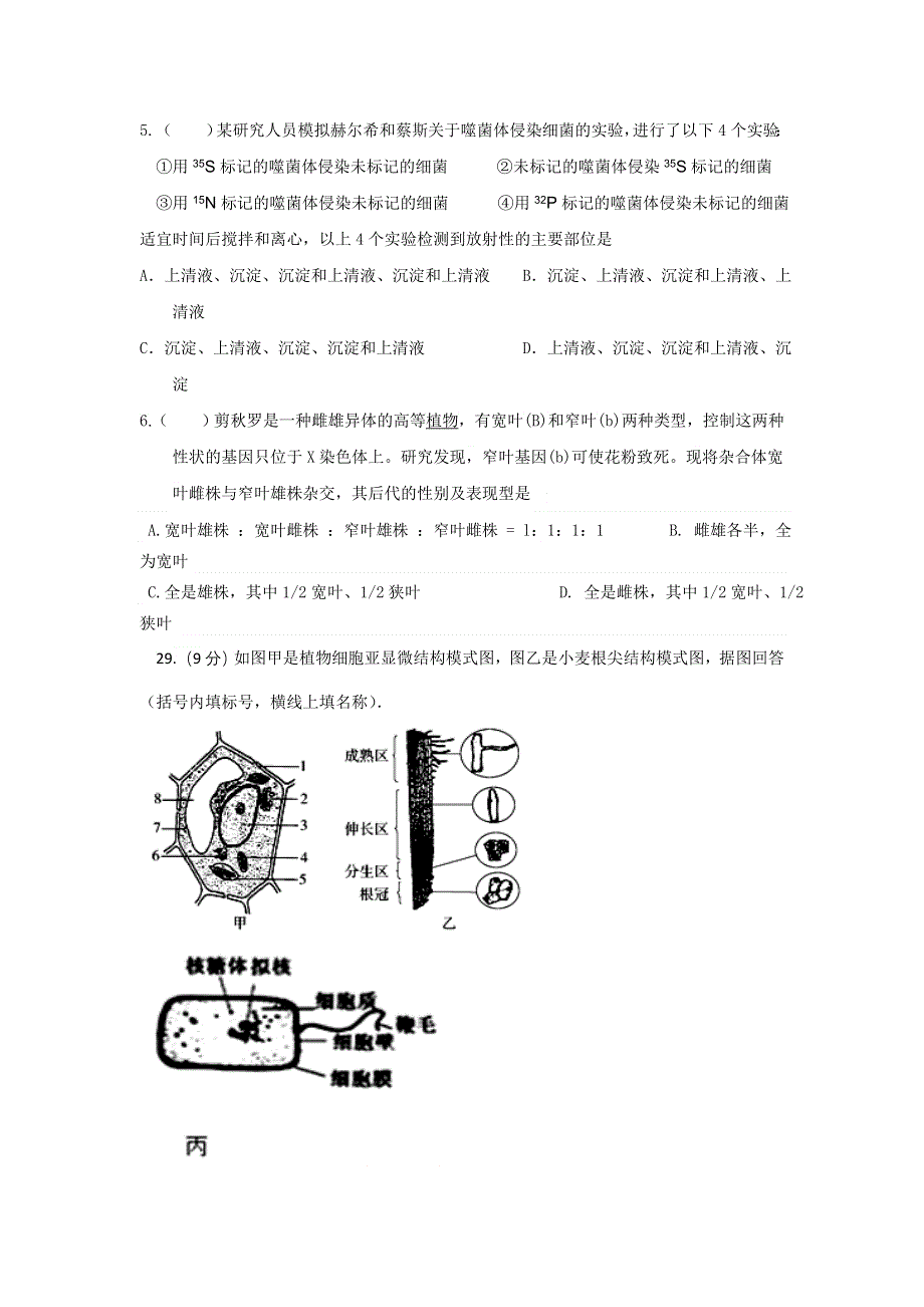 四川省内江市威远中学2017届高三上学期二次月考生物试题 WORD版含答案.doc_第2页