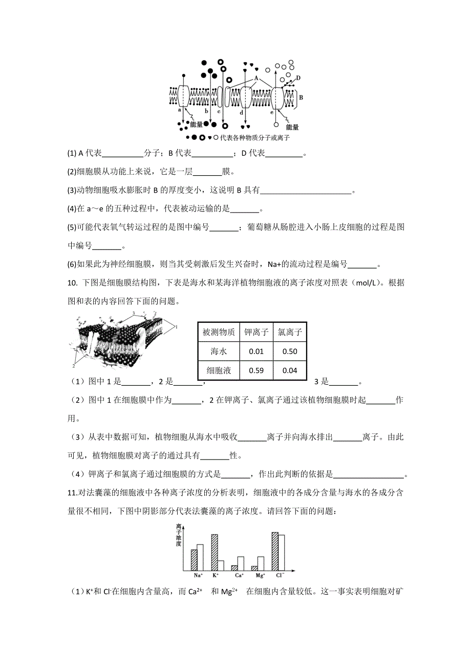 2011届生物高考一轮复习章节配套精练题：必修1 第4章 细胞的物质输入和输出 第3节.doc_第3页