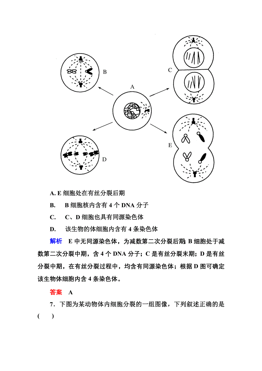 《名师一号》2014-2015学年新课标版生物必修2 双基限时练4 第二章基因和染色体的关系.doc_第3页