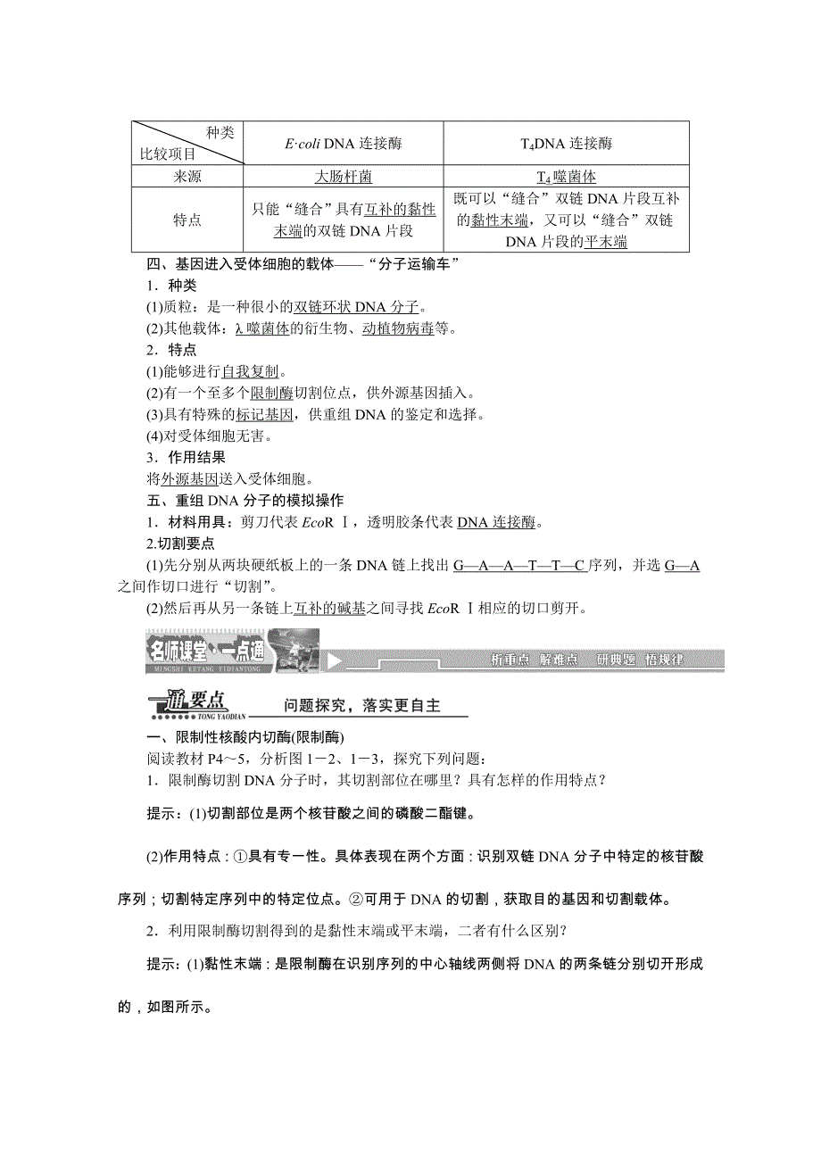 《创新方案》2016年高中生物人教版选修三教师用书 1.1DNA重组技术的基本工具.doc_第2页