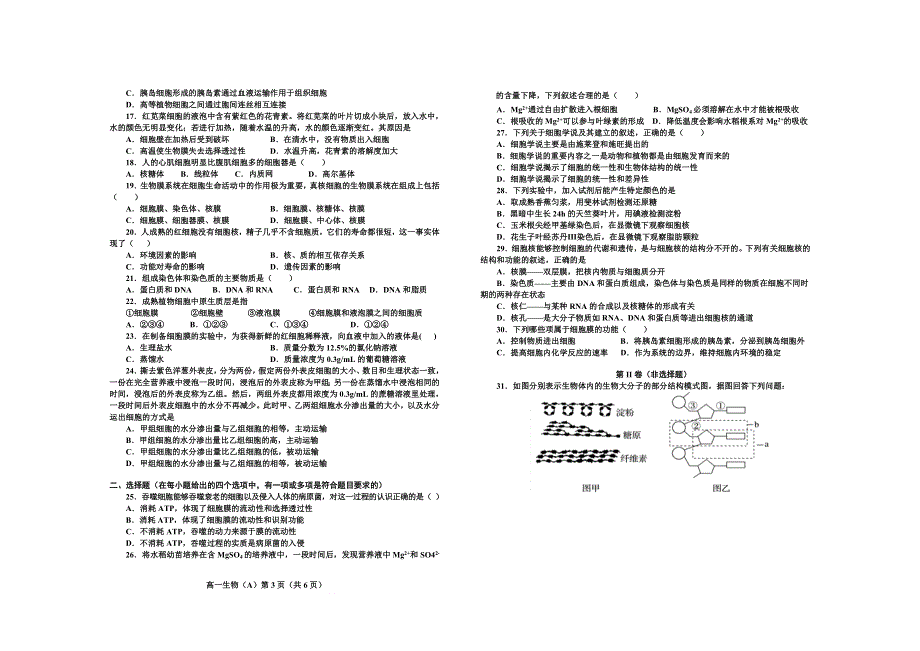 辽宁省大石桥市第三高级中学2020-2021学年高一期中考试生物试卷 WORD版含答案.doc_第2页