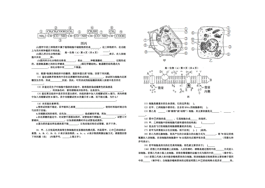 辽宁省大石桥市第三高级中学2020-2021学年高一期中考试生物试卷 WORD版含答案.doc_第3页