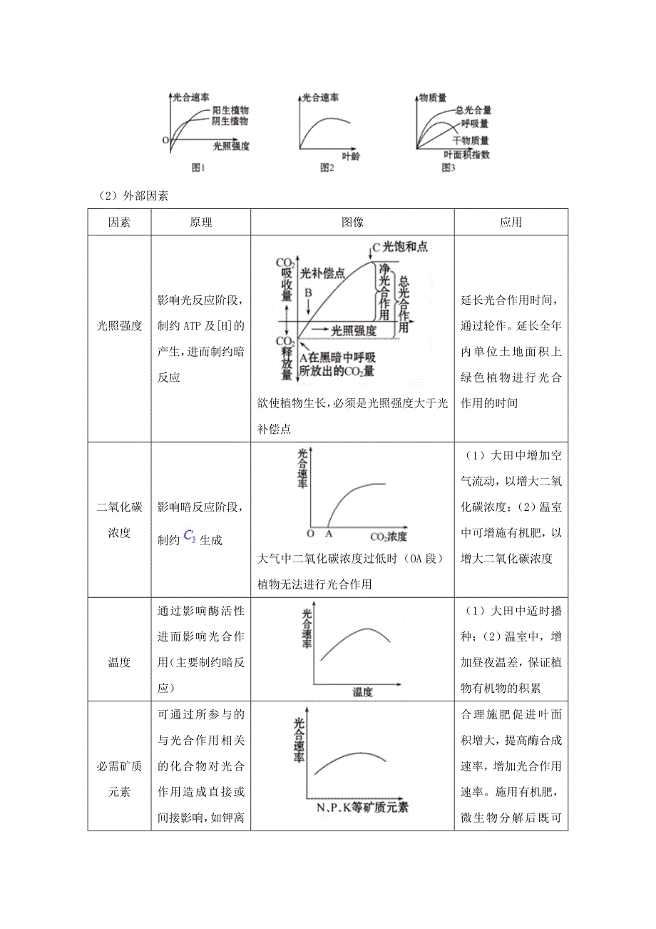 2011高中生物二轮专题复习学案：光合作用与细胞呼吸.doc_第2页