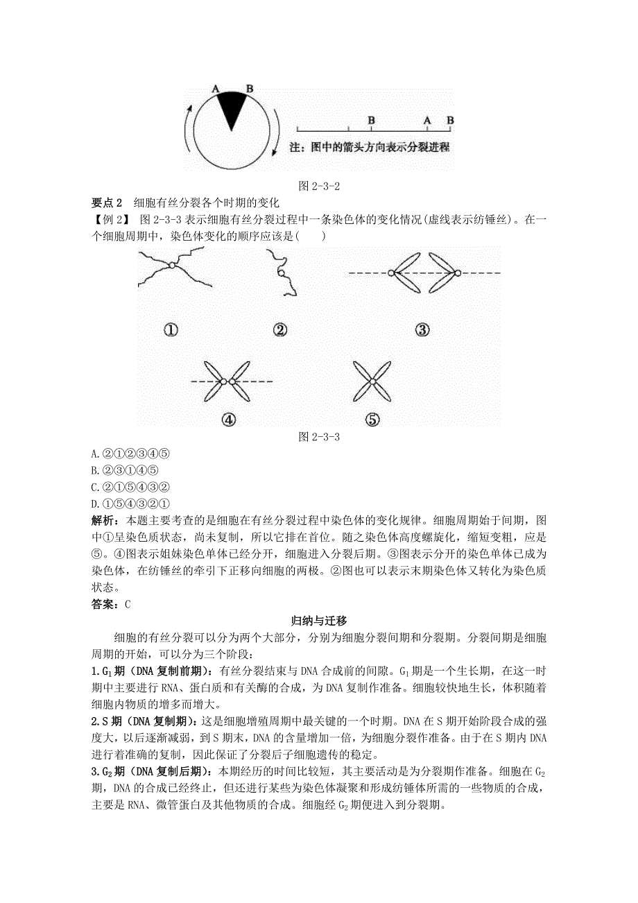 2011高中生物总复知识搜索与探究归纳：2-3 细胞增殖.doc_第3页