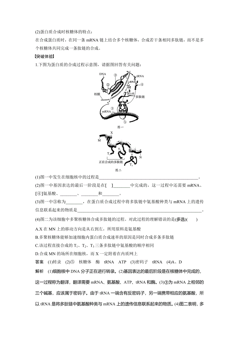 《创新设计》2016-2017高中生物中图版必修2学案：3.2章基因对形状的控制 整合提升 WORD版含解析.doc_第3页