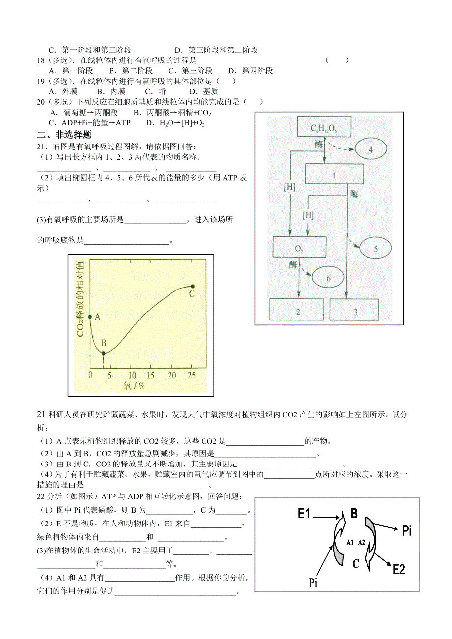 修远中学高一年级生物周练（五）.doc_第2页