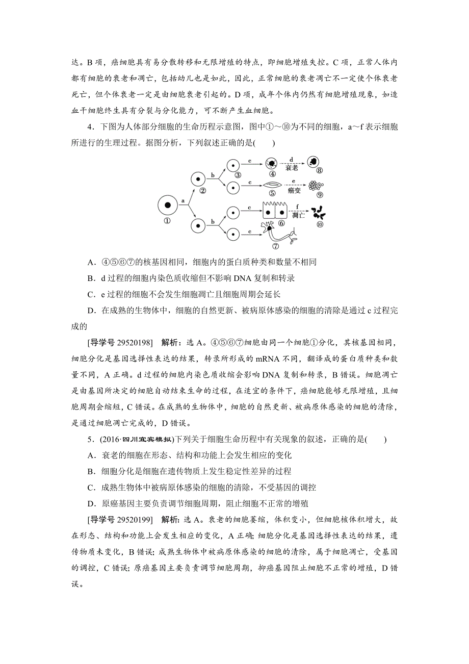 卓越学案2017高考生物一轮总复习训练：第4单元细胞的生命历程 第12讲 WORD版含解析.doc_第2页