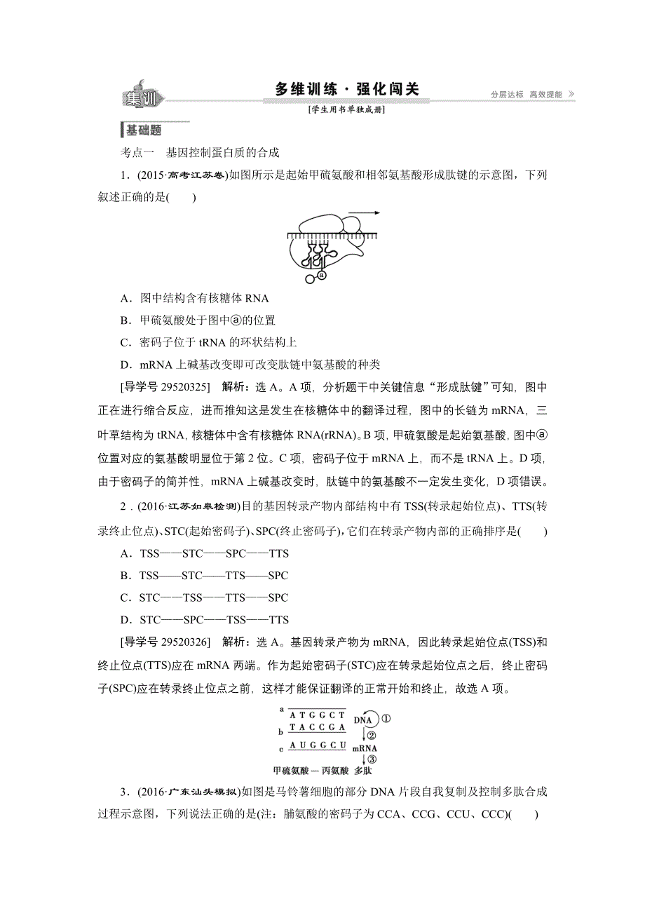 卓越学案2017高考生物一轮总复习训练：第6单元遗传的物质基础 第19讲 WORD版含解析.doc_第1页