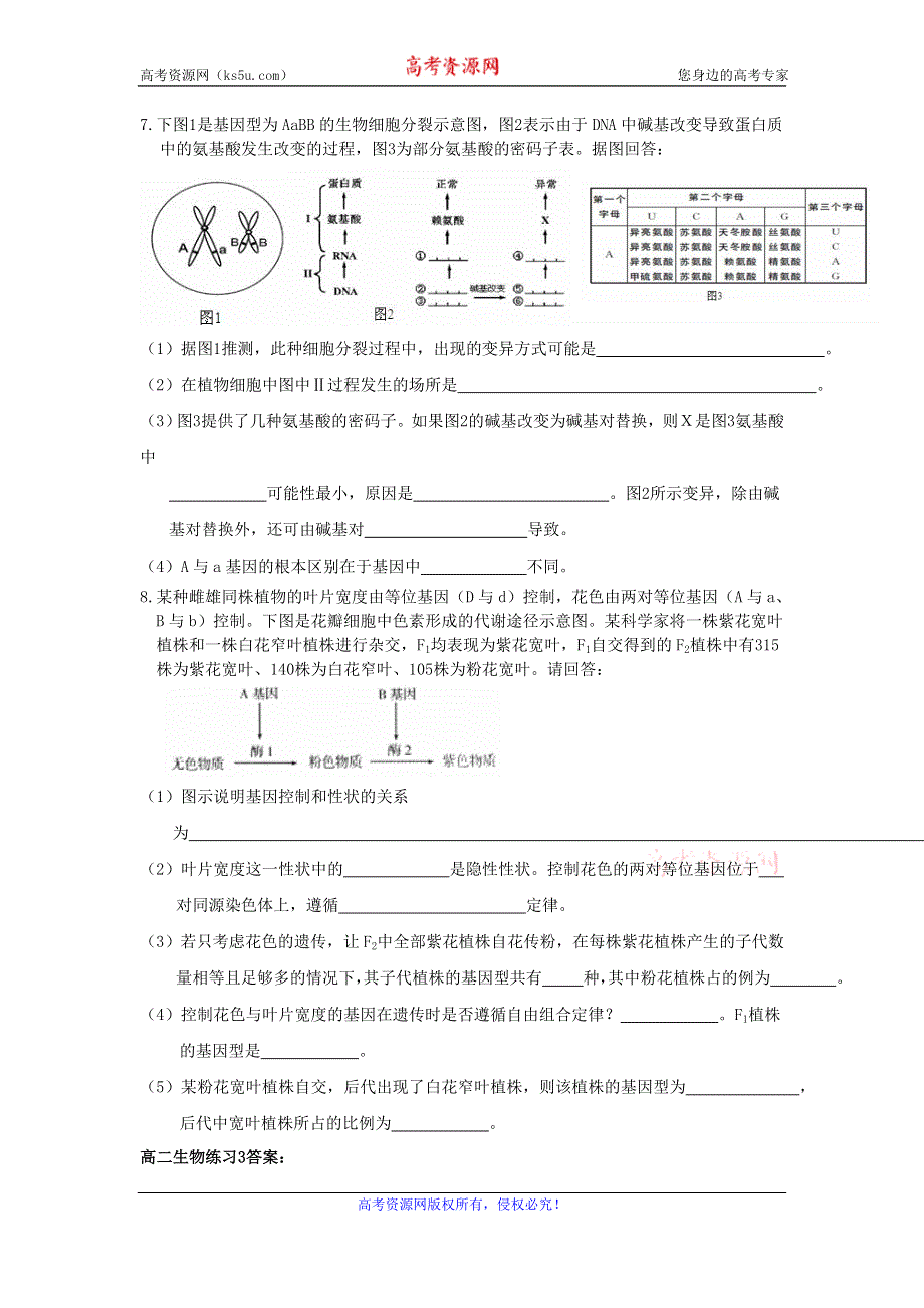 《名校推荐》福建省南安第一中学2015-2016学年高二上学期（人教版）生物必修二单元练习（三）（基因突变和基因重组） WORD版含答案.doc_第2页