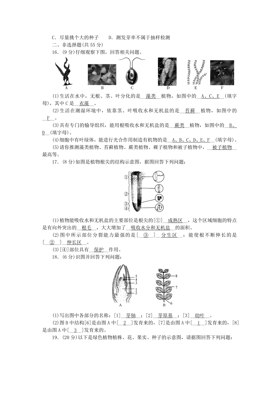 2022七年级生物上册 第三单元 生物圈中的绿色植物综合评价(第一至二章) （新版）新人教版.doc_第3页