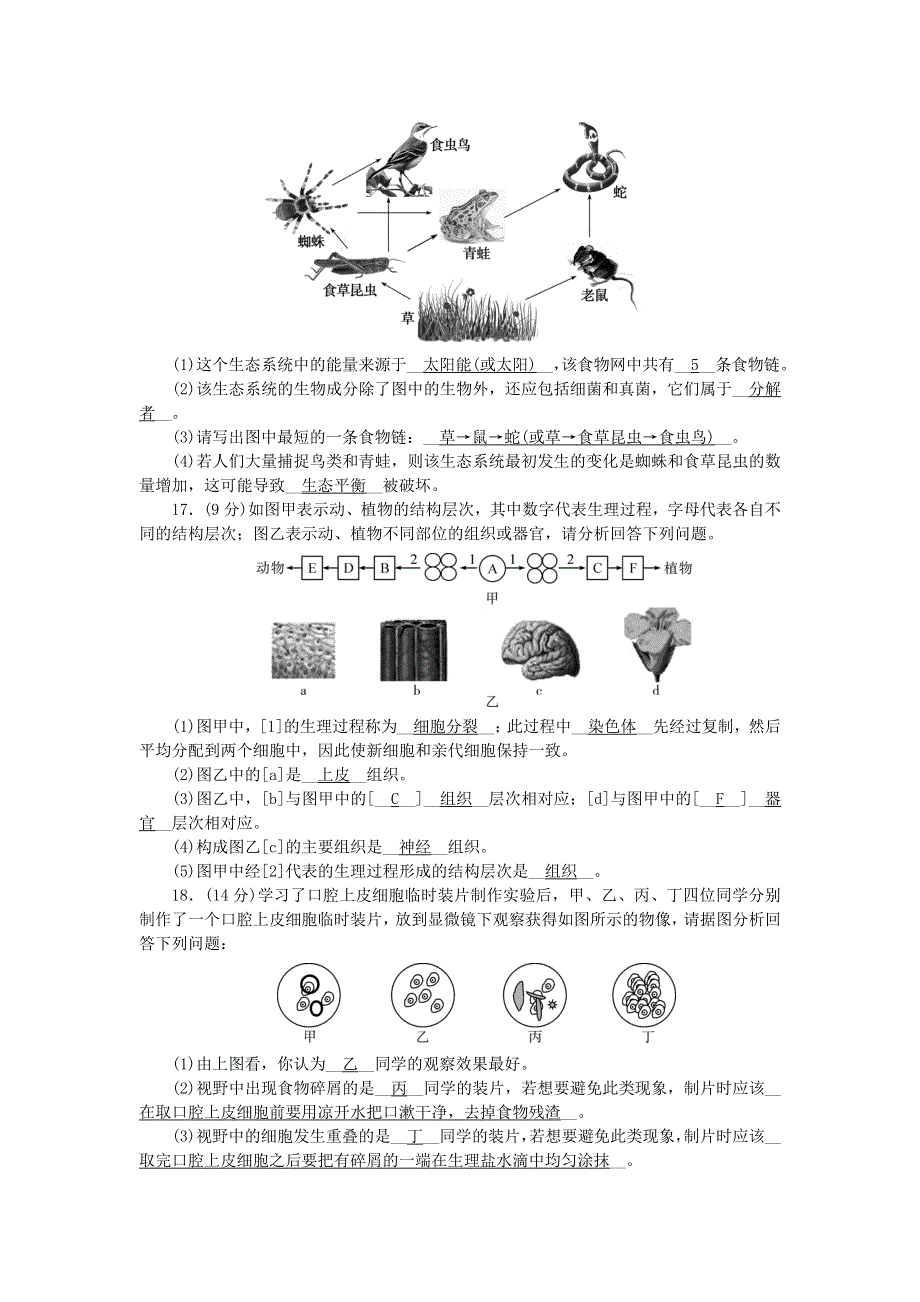 2022七年级生物上学期期中综合评价 （新版）新人教版.doc_第3页