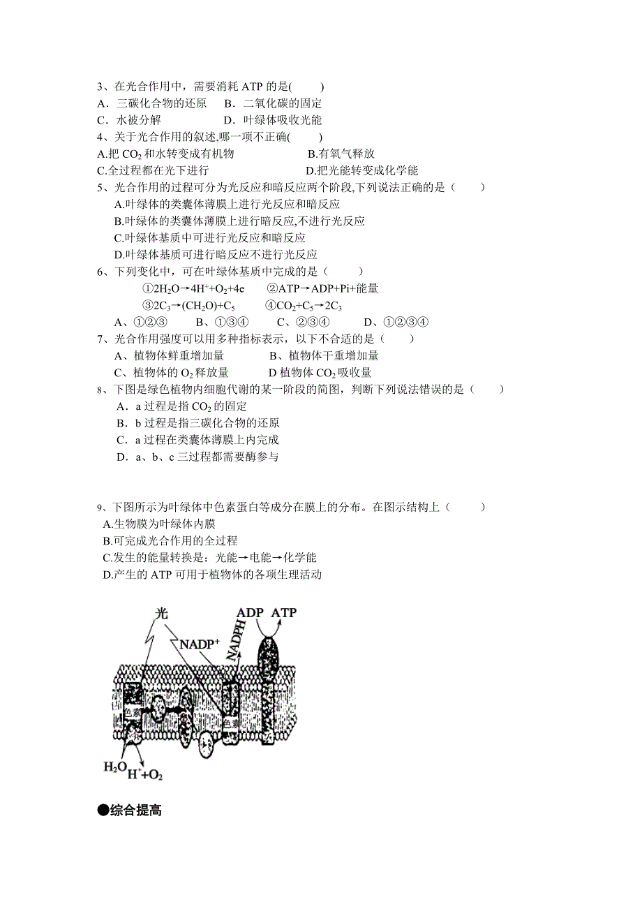 《名校推荐》福建省厦门市第一中学高一生物学案：中国版 3-2-3 光能的捕获和利用.doc_第2页