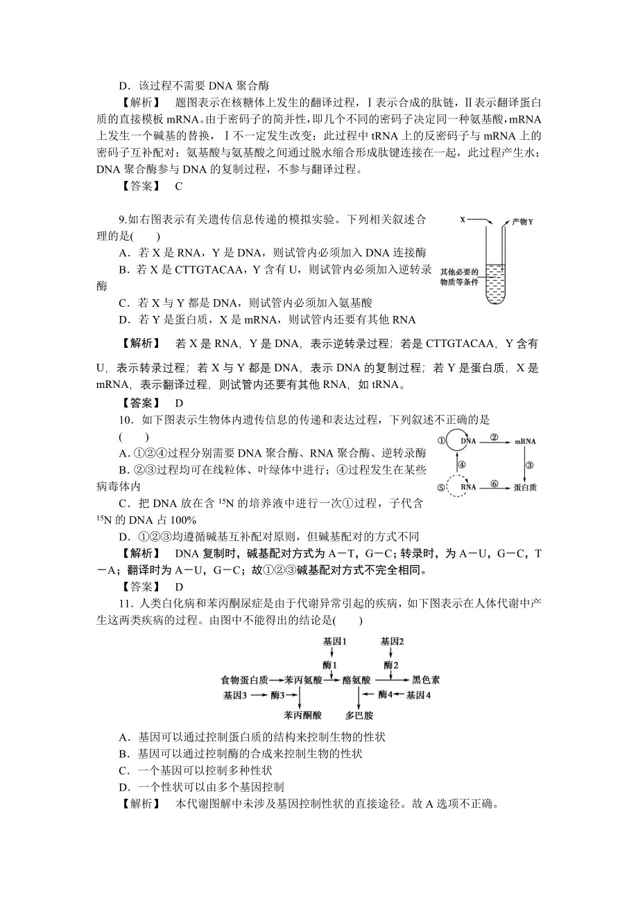 2011高三生物一轮复习练习题：必修2 第4章 基因的表达.doc_第3页