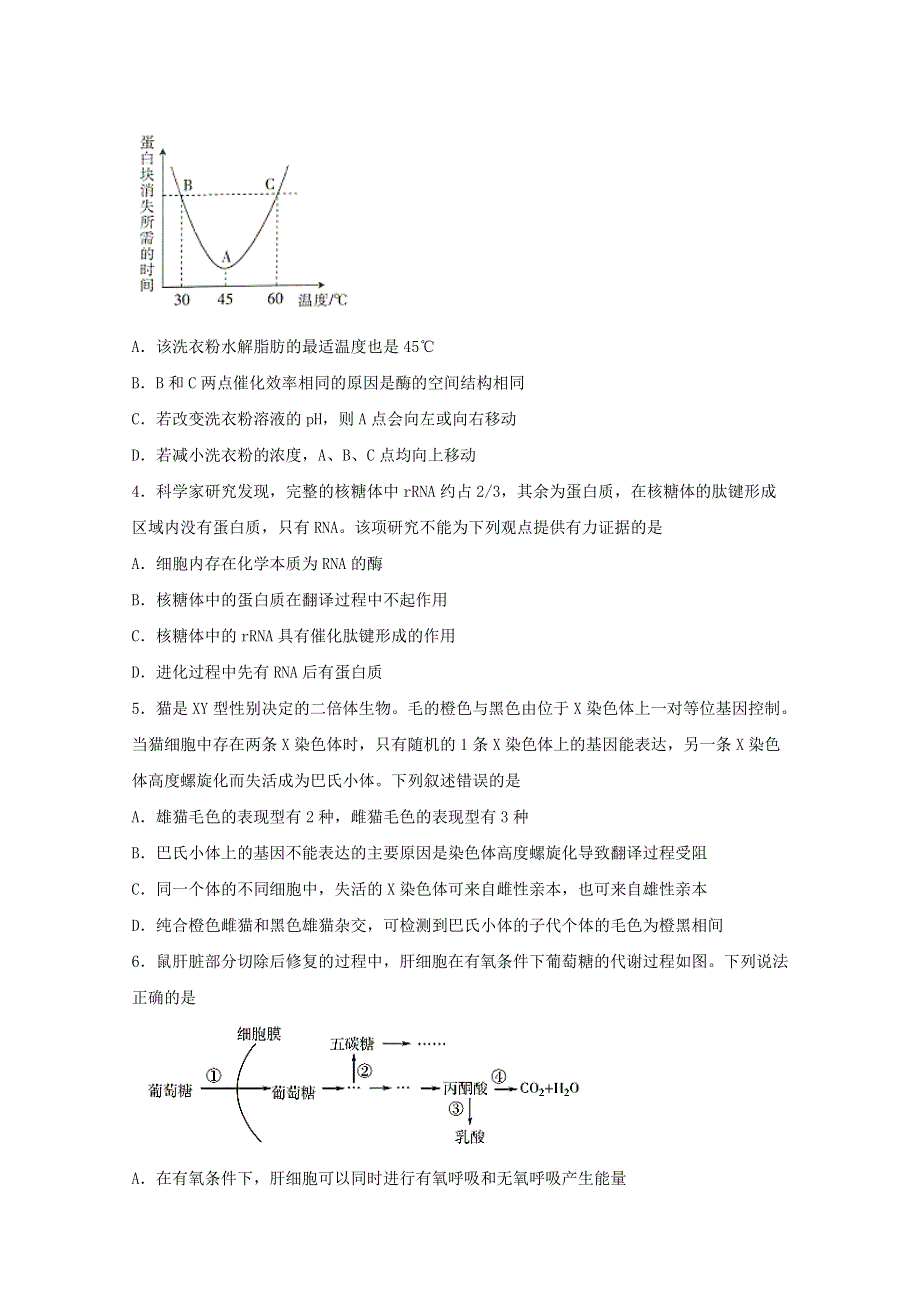 四川省广元市苍溪县实验中学校2020届高三理综下学期适应性考试试题（1）.doc_第2页