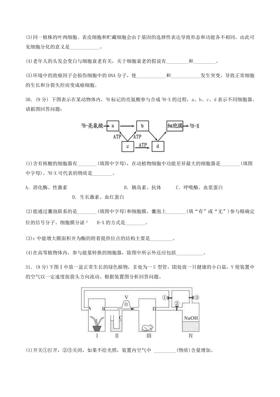 四川省彭州市濛阳中学2021届高三生物上学期10月月考试题.doc_第3页