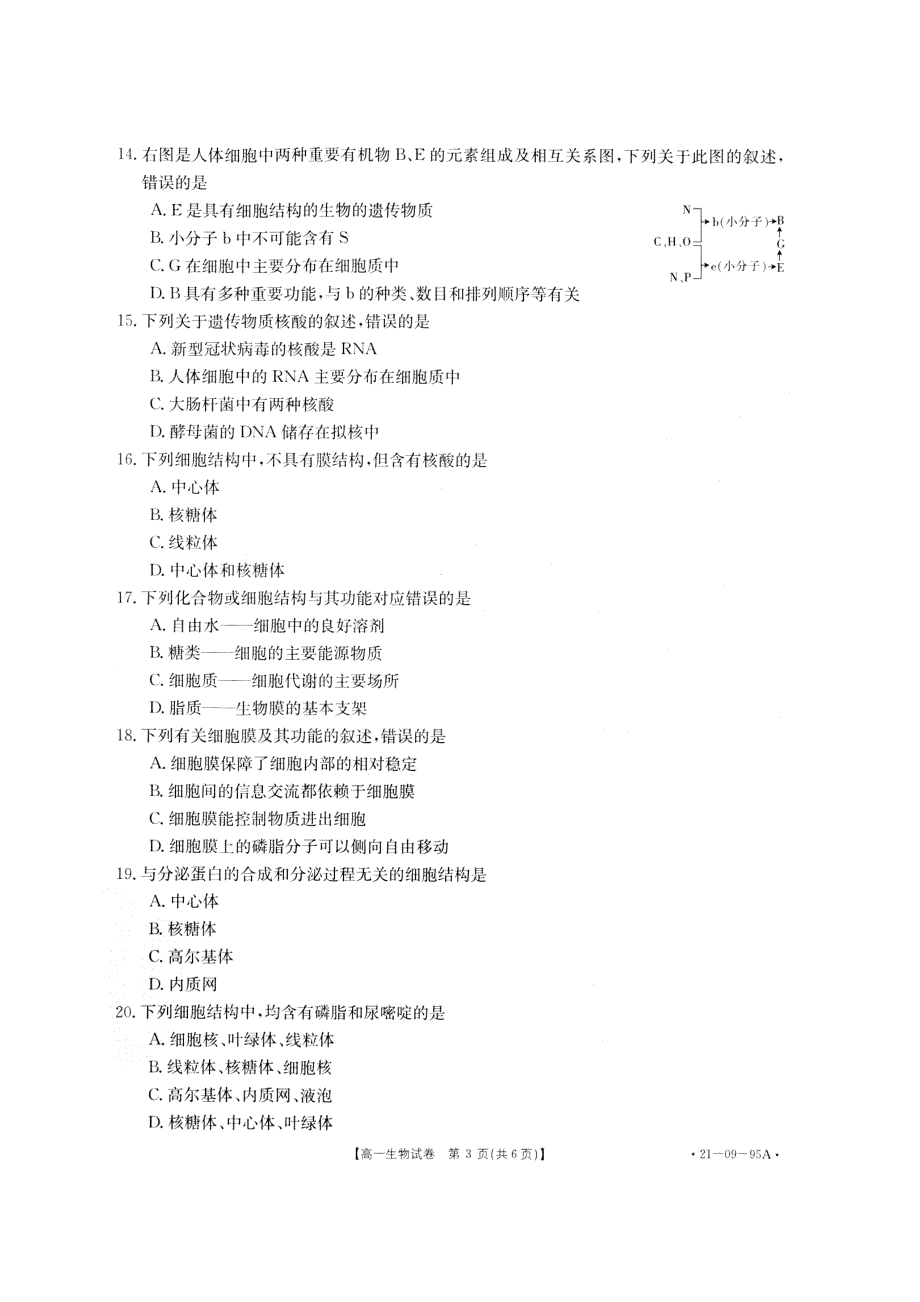 湖南省邵阳县2020-2021学年高一上学期期中考试生物试题 PDF版含答案.pdf_第3页