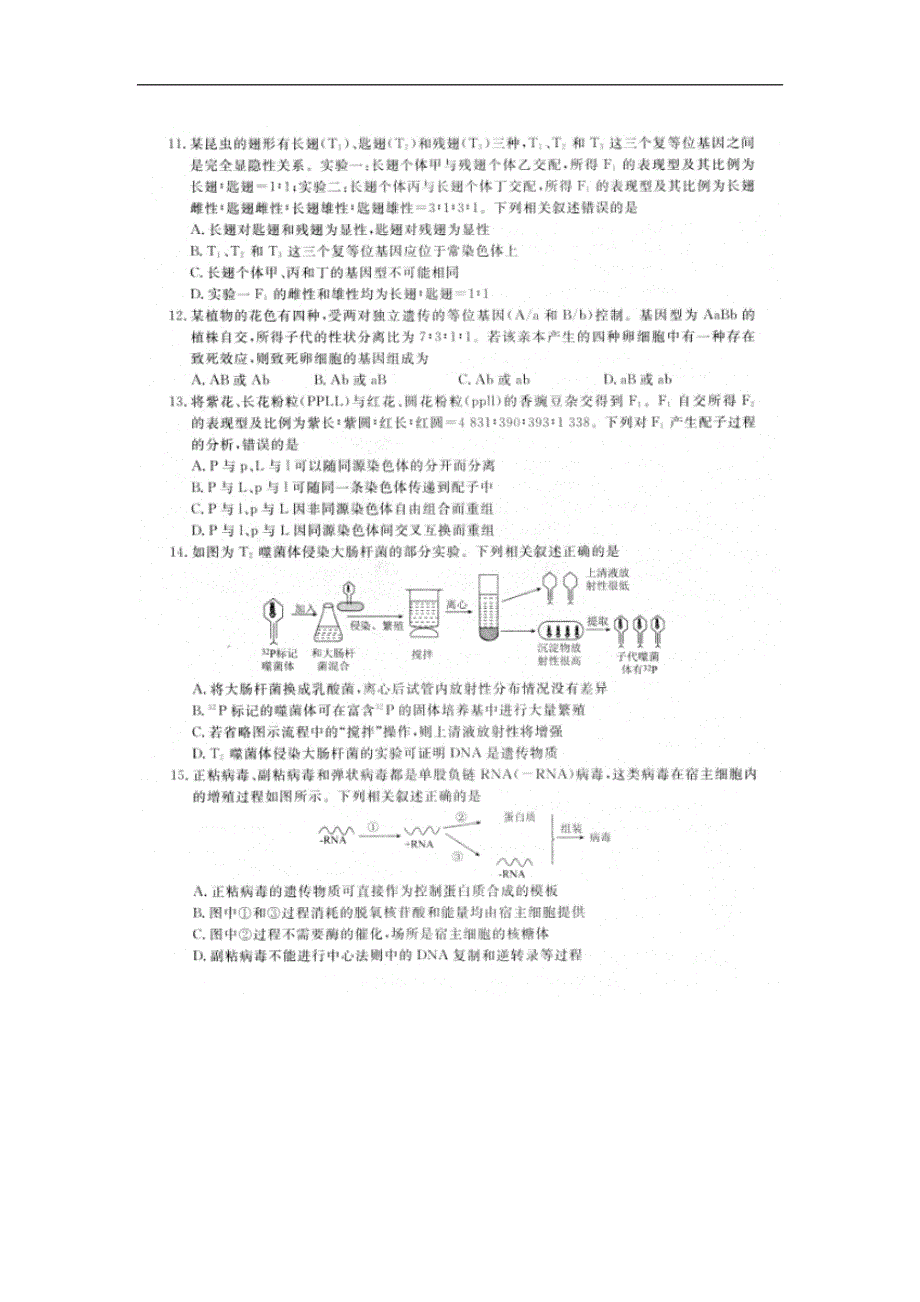 2020届普通高等学校招生全国统一考试模拟考试（一）生物 扫描版含答案.doc_第3页