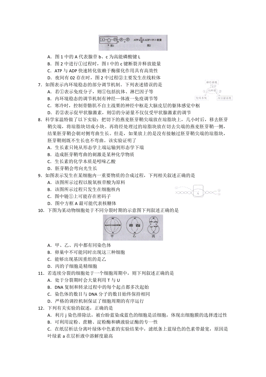 四川省德阳市2015届高三第一次诊断考试生物试题 WORD版含答案.doc_第2页