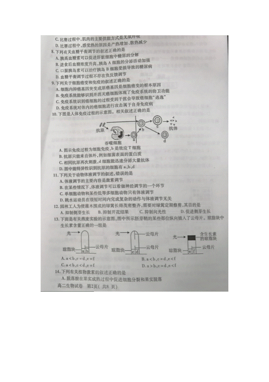 四川省德阳市2018-2019学年高二上学期期末考试生物试卷 PDF版含答案.doc_第2页