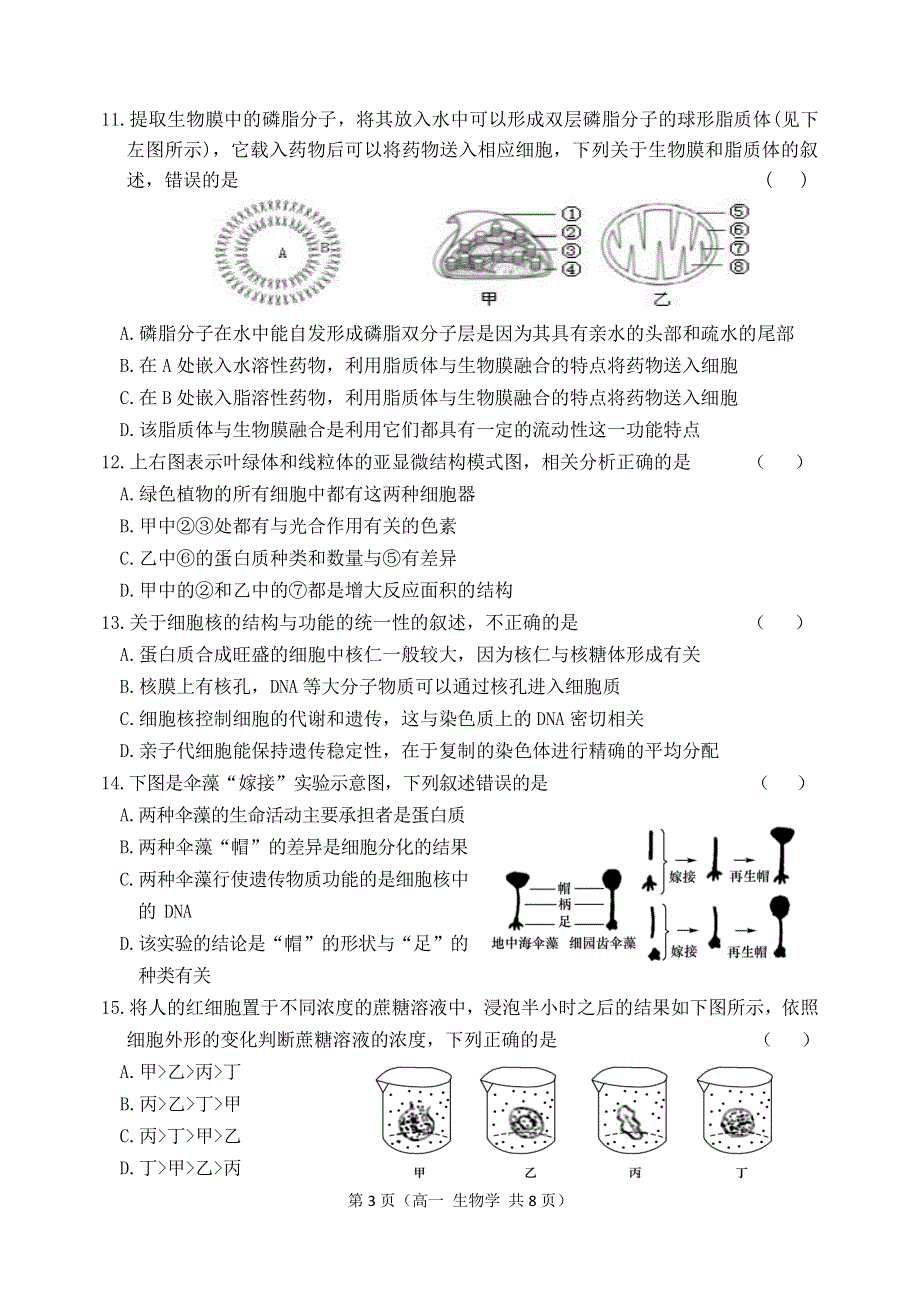 辽宁省大连市2020-2021学年高一上学期期末考试生物试卷 PDF版含答案.pdf_第3页