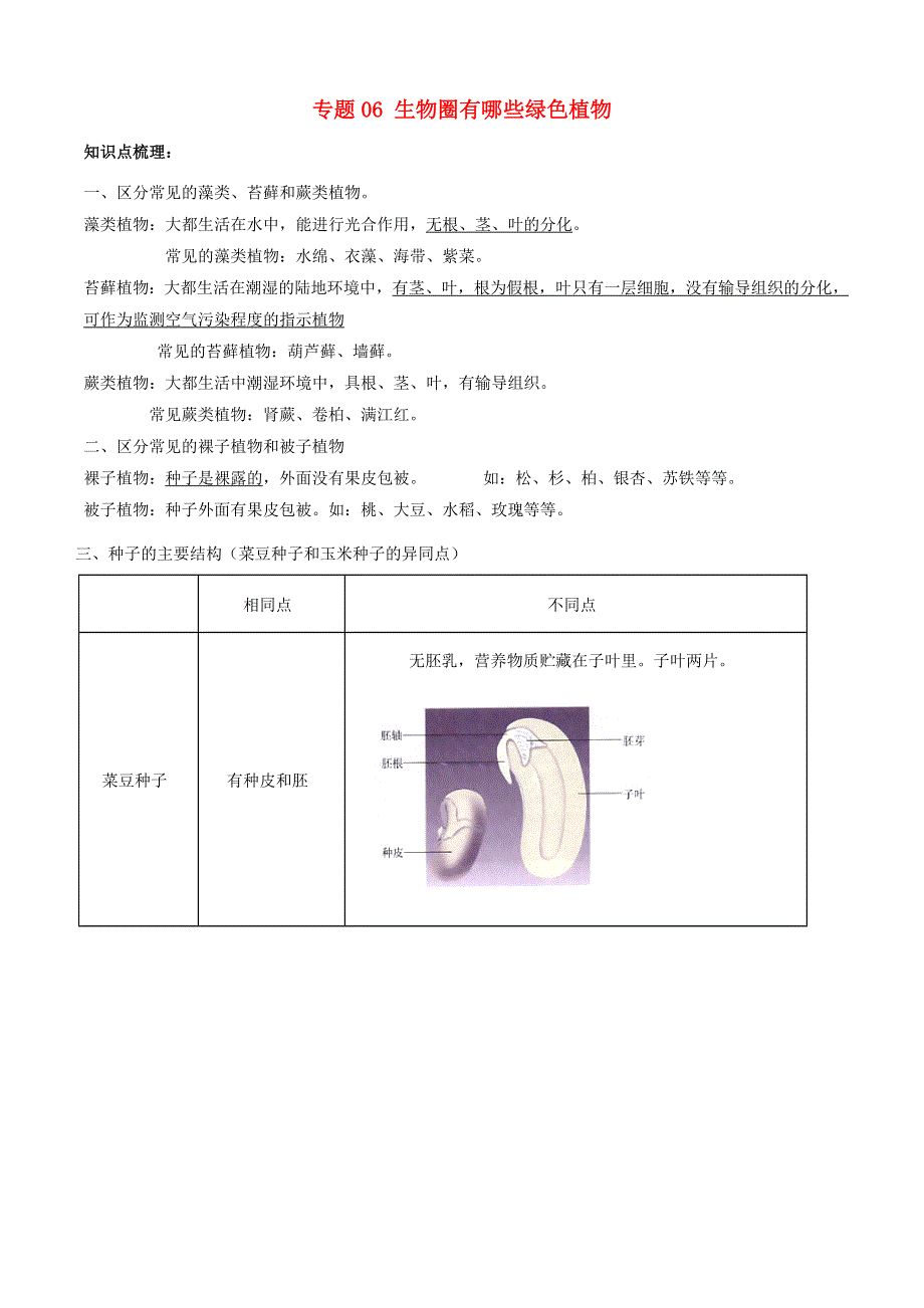 2020学年七年级生物上册 专题06 生物圈中有哪些绿色植物知识梳理及训练（含解析）（新版）新人教版.doc_第1页