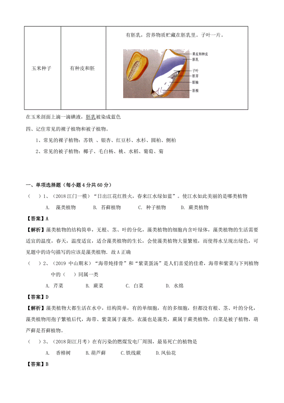 2020学年七年级生物上册 专题06 生物圈中有哪些绿色植物知识梳理及训练（含解析）（新版）新人教版.doc_第2页