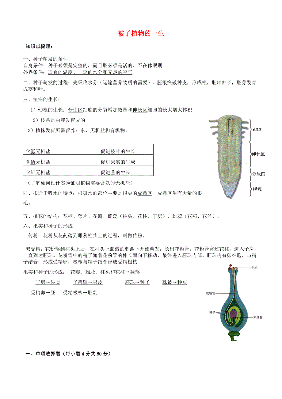 2020学年七年级生物上册 专题05 被子植物的一生知识梳理及训练（含解析）（新版）新人教版.doc_第1页