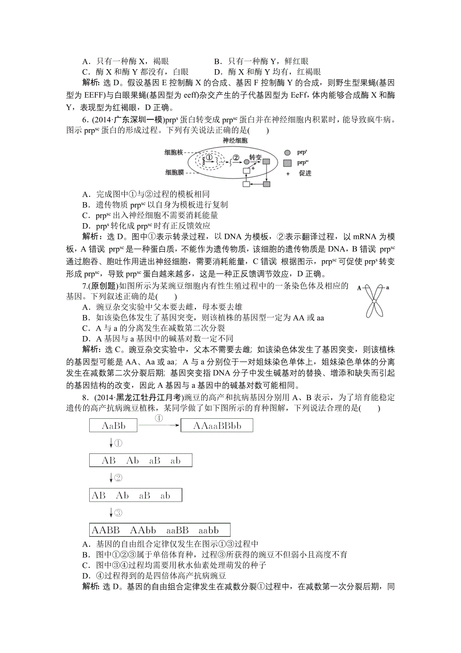 2015年高考总复习（第二轮）&生物（渝闽专用）：专题综合训练（四）.doc_第2页