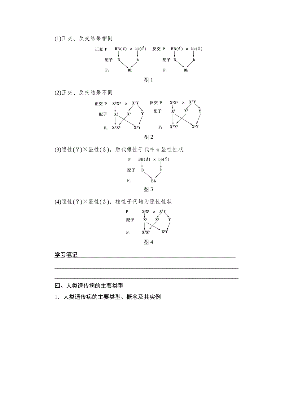 2018届高三生物（浙江学考）一轮复习练习：必修2 第6章 染色体与遗传 遗传与人类健康 WORD版含答案.doc_第3页