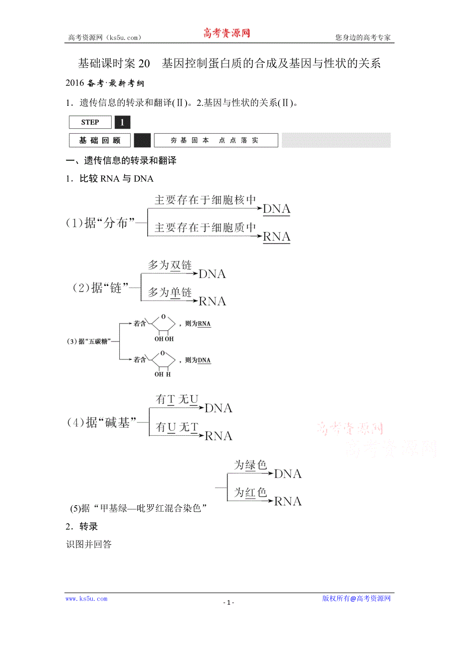 《创新设计》2016年高三生物（人教版）一轮复习 基础课时案20　基因控制蛋白质的合成及基因与性状的关系 基础回顾.doc_第1页