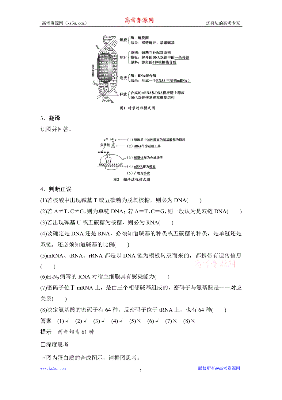 《创新设计》2016年高三生物（人教版）一轮复习 基础课时案20　基因控制蛋白质的合成及基因与性状的关系 基础回顾.doc_第2页