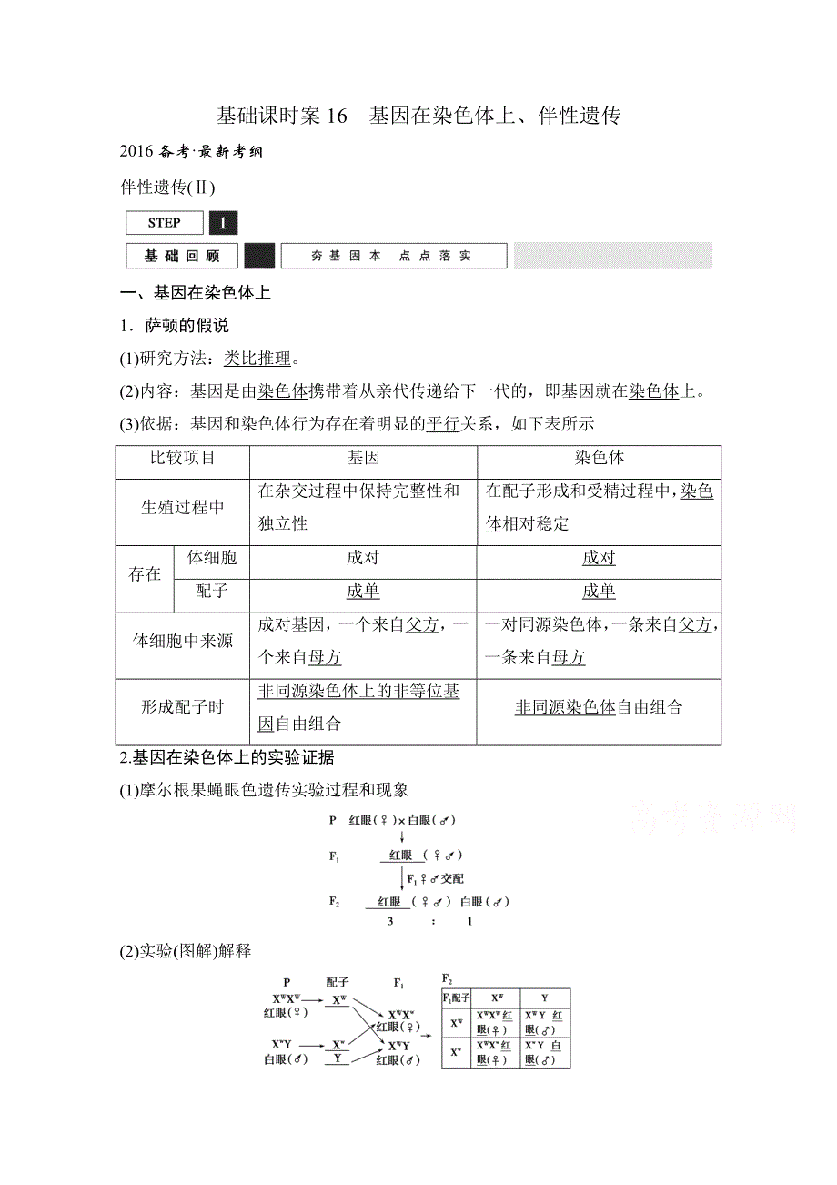 《创新设计》2016年高三生物（人教版）一轮复习 基础课时案16　基因在染色体上、伴性遗传 基础回顾.doc_第1页