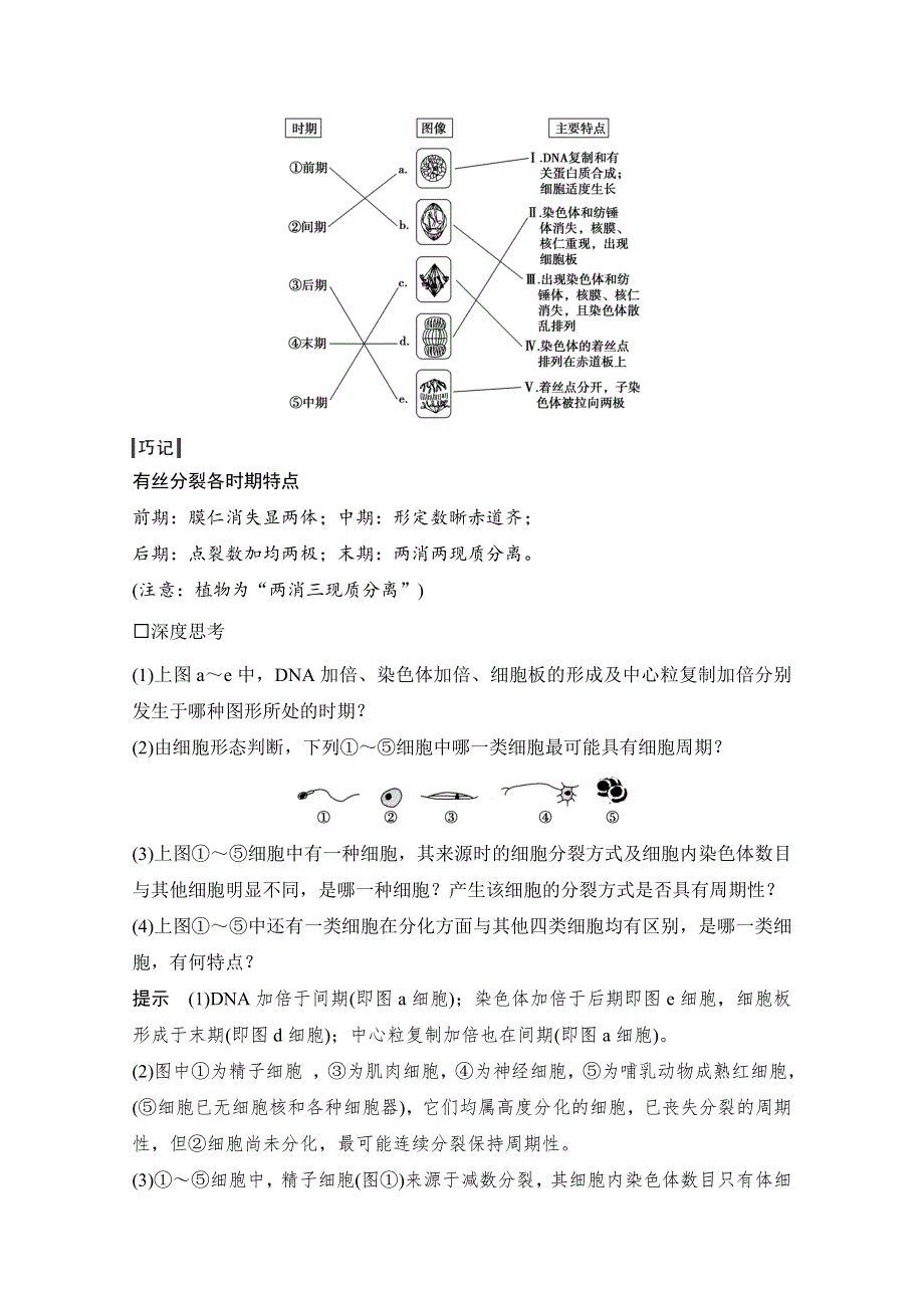 《创新设计》2016年高三生物（人教版）一轮复习 基础课时案11　细胞的有丝分裂及相关实验 基础回顾.doc_第2页