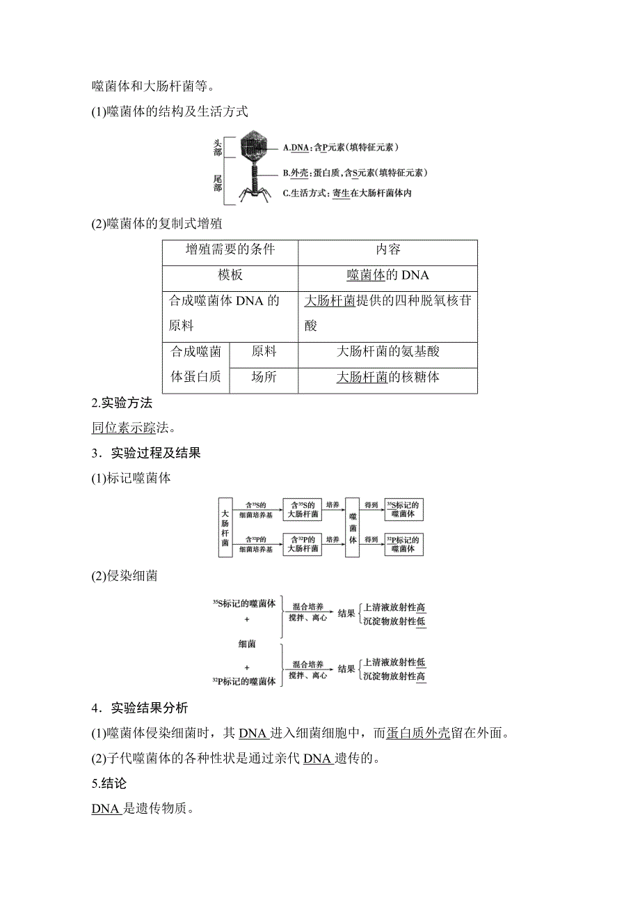 《创新设计》2016年高三生物（人教版）一轮复习 基础课时案17　DNA是主要的遗传物质 基础回顾.doc_第2页