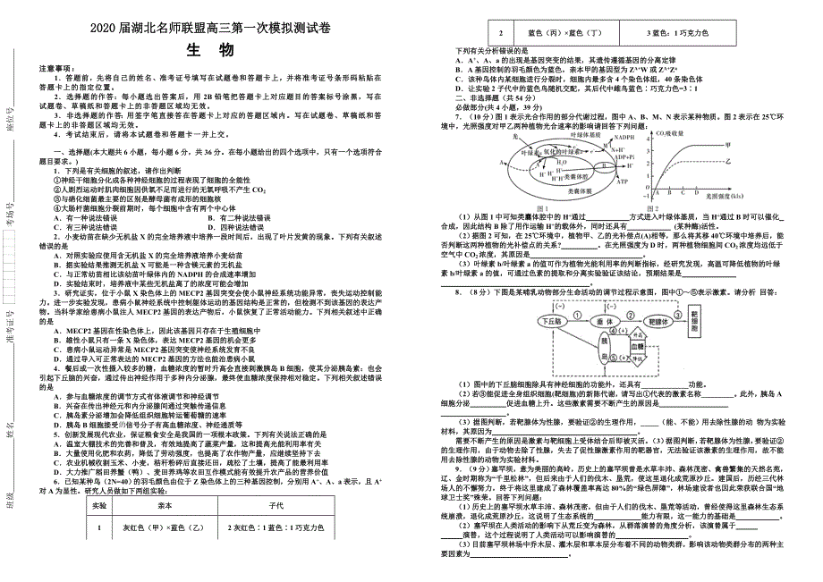 2020届湖北名师联盟高三第一次模拟考试卷生物试题（WORD版含解析）.doc_第1页