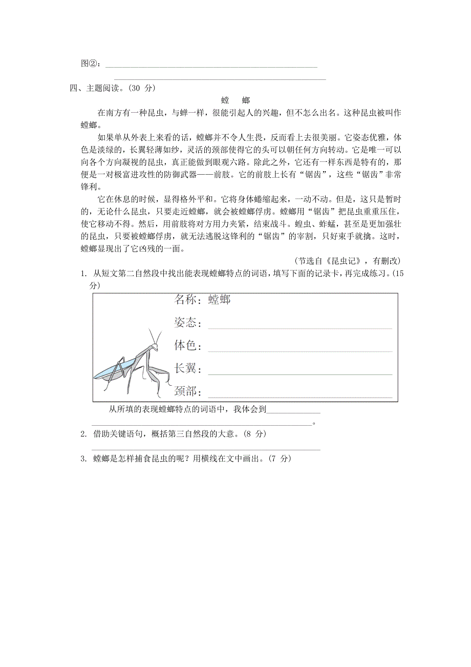 2022三年级语文下册 第4单元 观察与发现主题突破卷 新人教版.doc_第2页