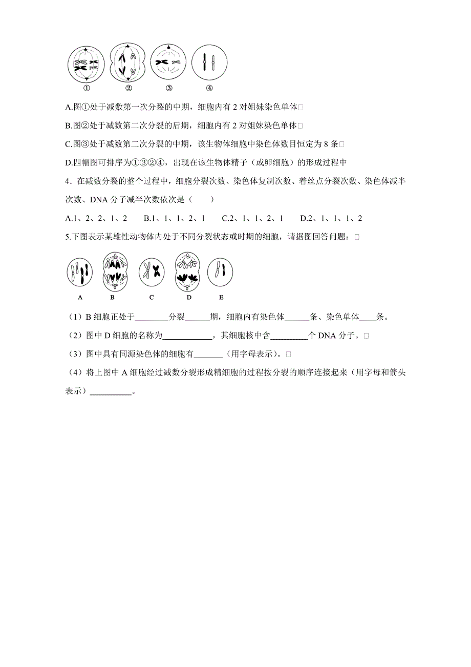 高中生物（苏教版必修2）第二章同步练习--2.1.1细胞的减数分裂2 WORD版含解析.doc_第3页