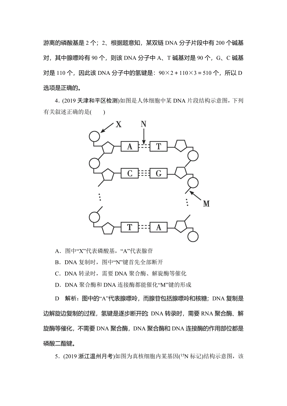 2020届高三生物（人教版）第一轮复习课件作业：第六单元 第18讲　DNA的结构、复制与基因的本质 WORD版含解析.doc_第2页