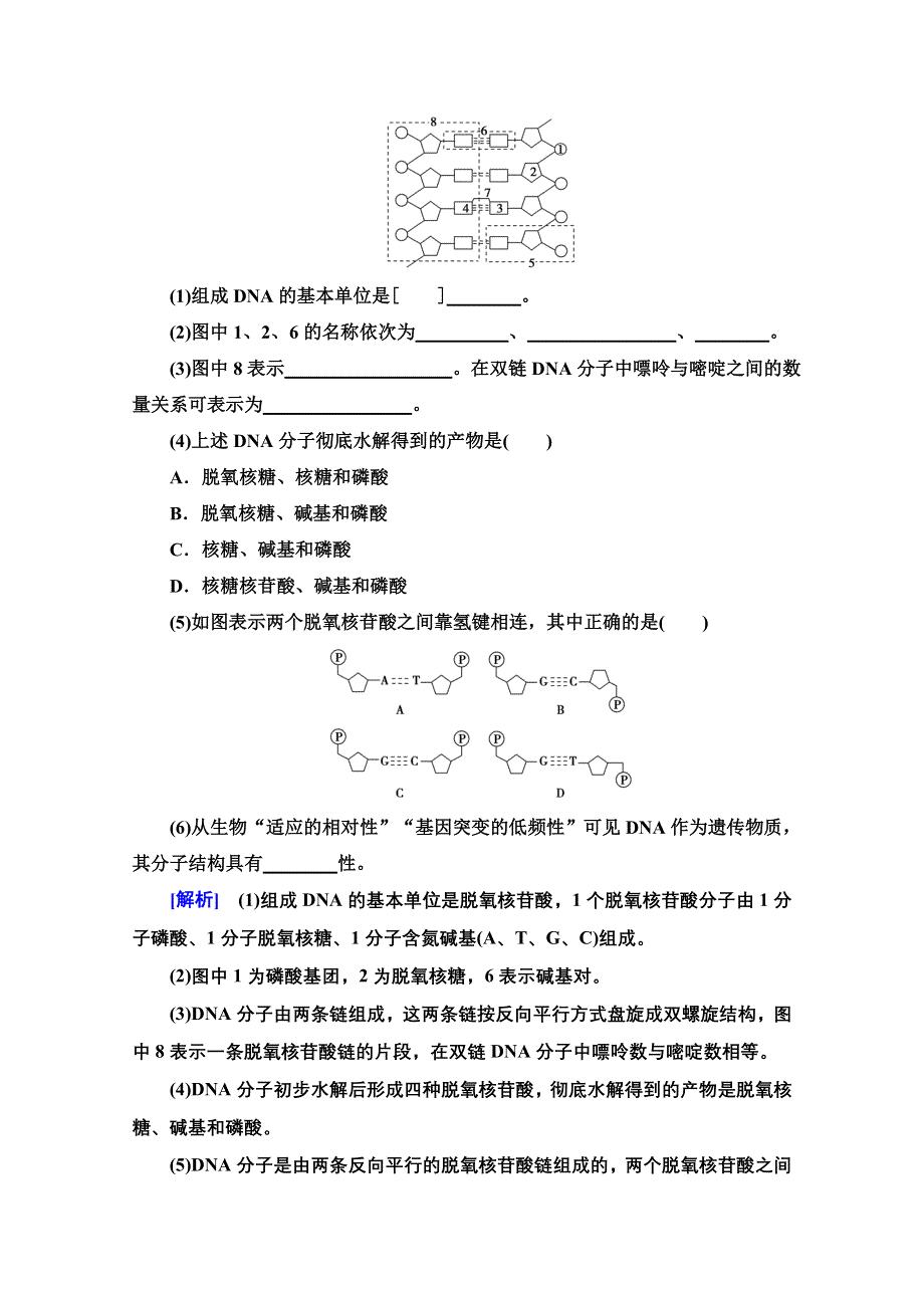 2020-2021学年人教版生物必修2课时分层作业：第3章 第2节 DNA分子的结构 WORD版含解析.doc_第3页