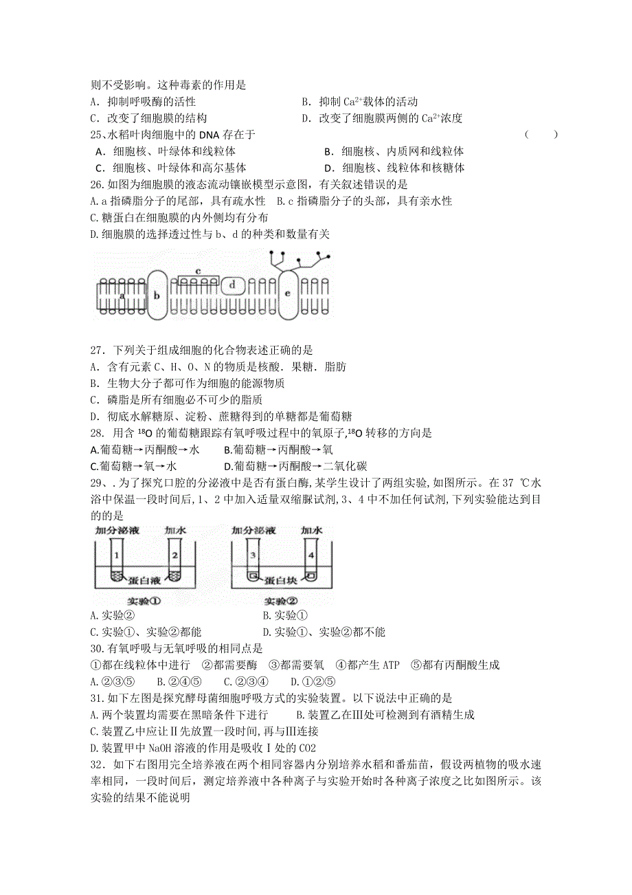 四川省成都七中实验学校2012-2013学年高一12月月考生物试题WORD版无答案.doc_第3页