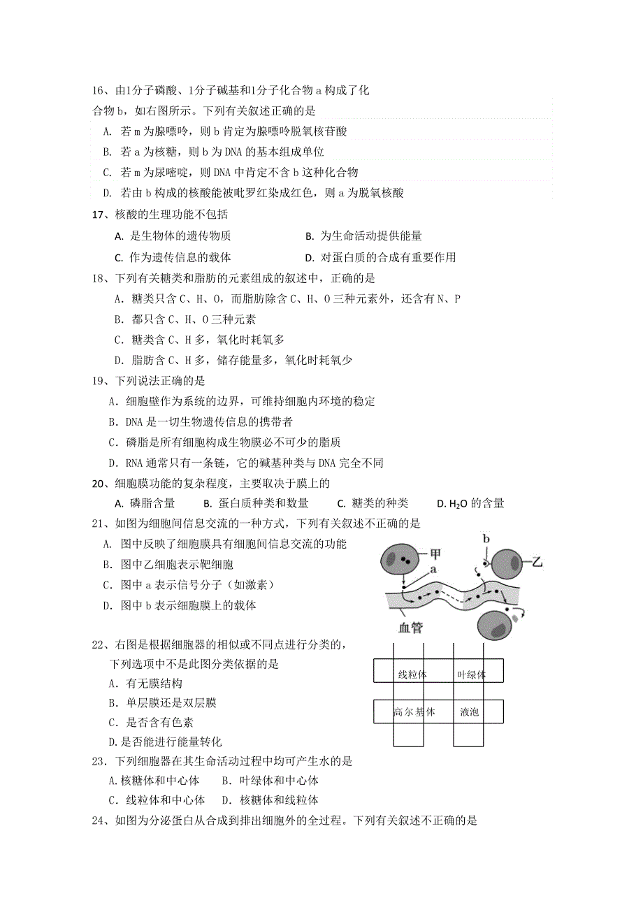 四川省成都七中实验学校2014-2015学年高一12月月考生物试题（无答案）.doc_第3页