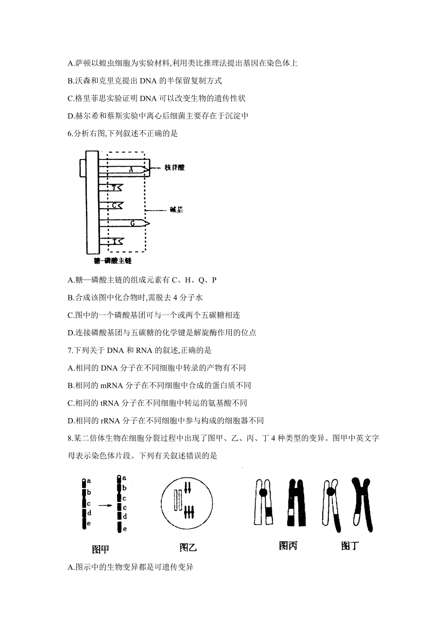 河南省洛阳市2017-2018学年高二上学期期末考试生物试题 WORD版含答案.doc_第2页