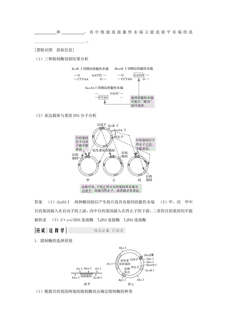 2018届高考生物一轮复习考点加强课学案：6限制酶的选择与目的基因的检测与鉴定 WORD版含答案.doc_第2页