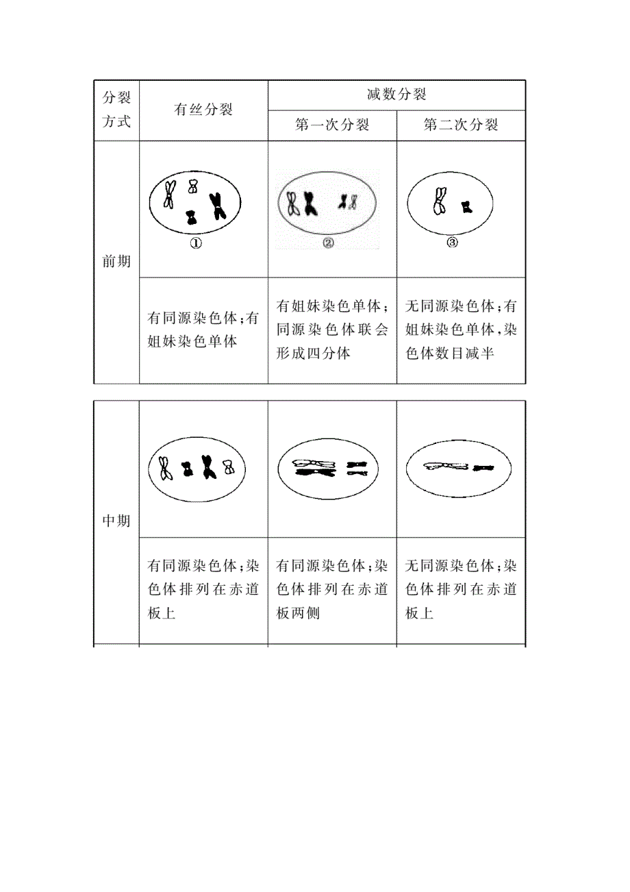 2011高考生物二轮复习：专题3 细胞的生命历程.doc_第3页