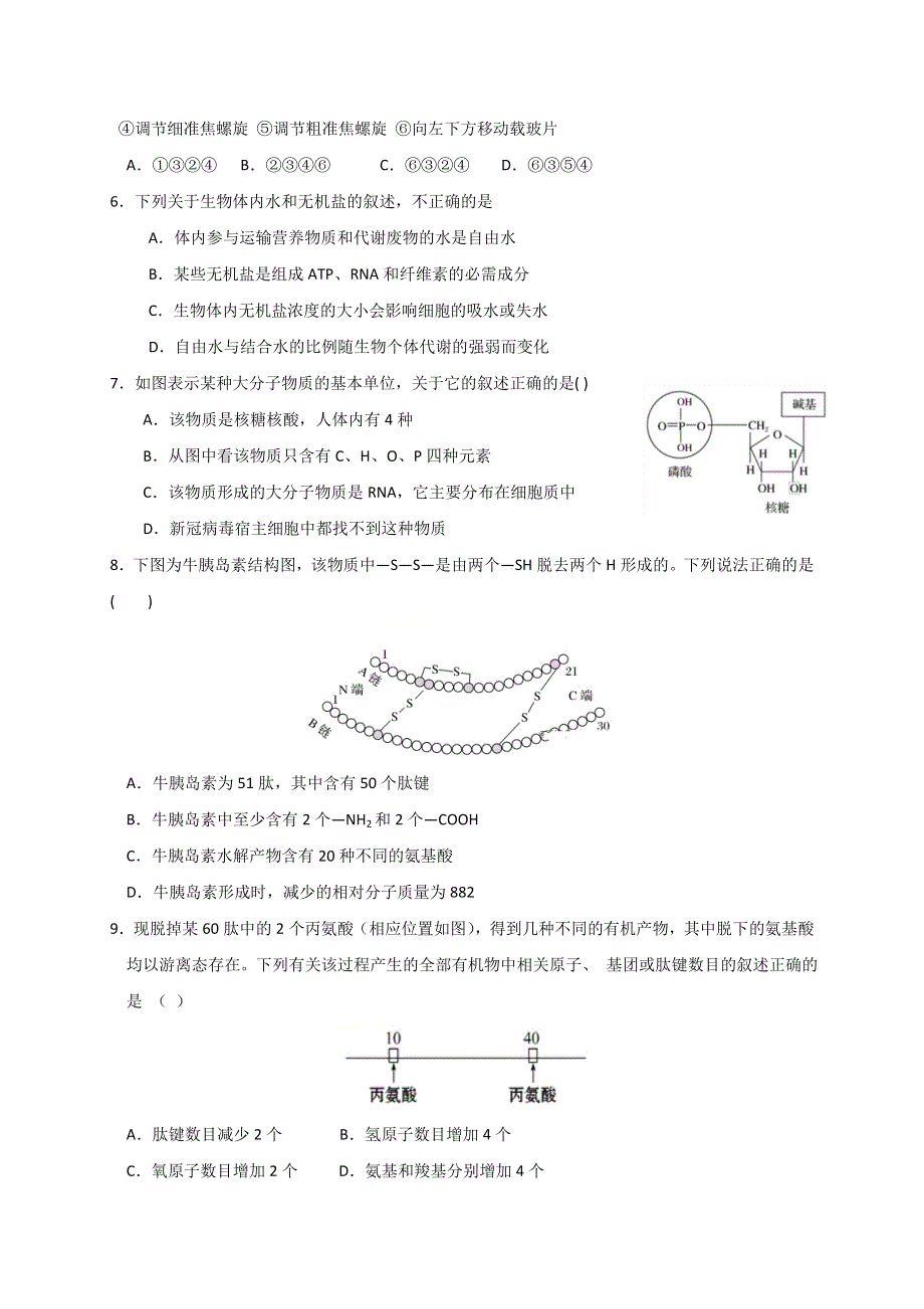 江西省南昌市八一中学2019-2020学年高一下学期期末考试生物试题 WORD版含答案.doc_第2页