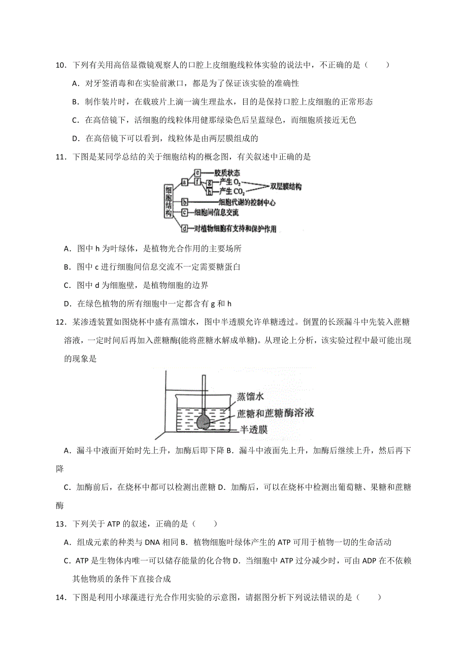 江西省南昌市八一中学2019-2020学年高一下学期期末考试生物试题 WORD版含答案.doc_第3页