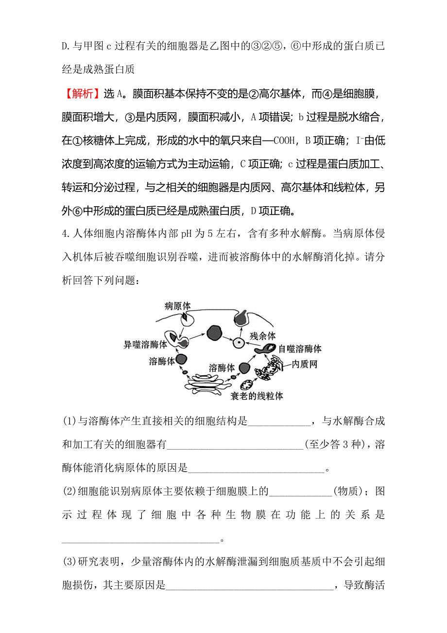 2018届高考生物大一轮复习：第二部分 细胞的基本结构与物质运输 金榜·高考预测 2-2 WORD版含解析.doc_第3页