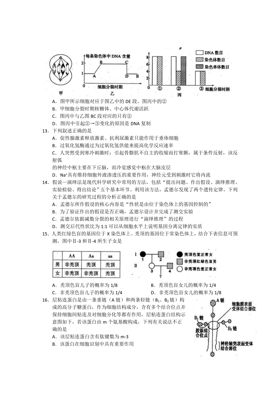 四川省德阳市高中2010级“一诊”考试生物试题 WORD版含答案.doc_第3页