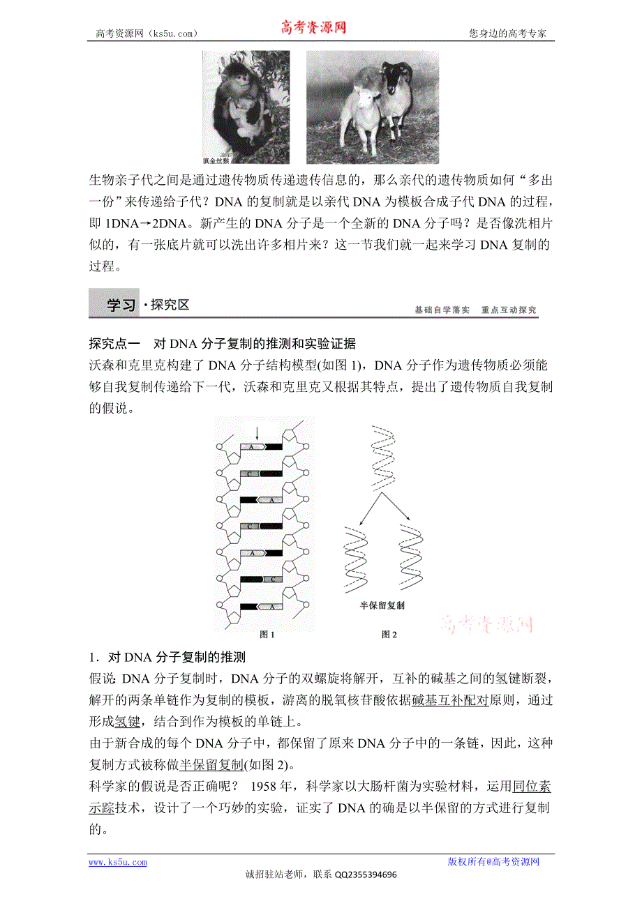 《创新设计》2017年高中生物人教版必修二课时作业：第3章 第16课时 DNA的复制 WORD版含解析.doc_第2页