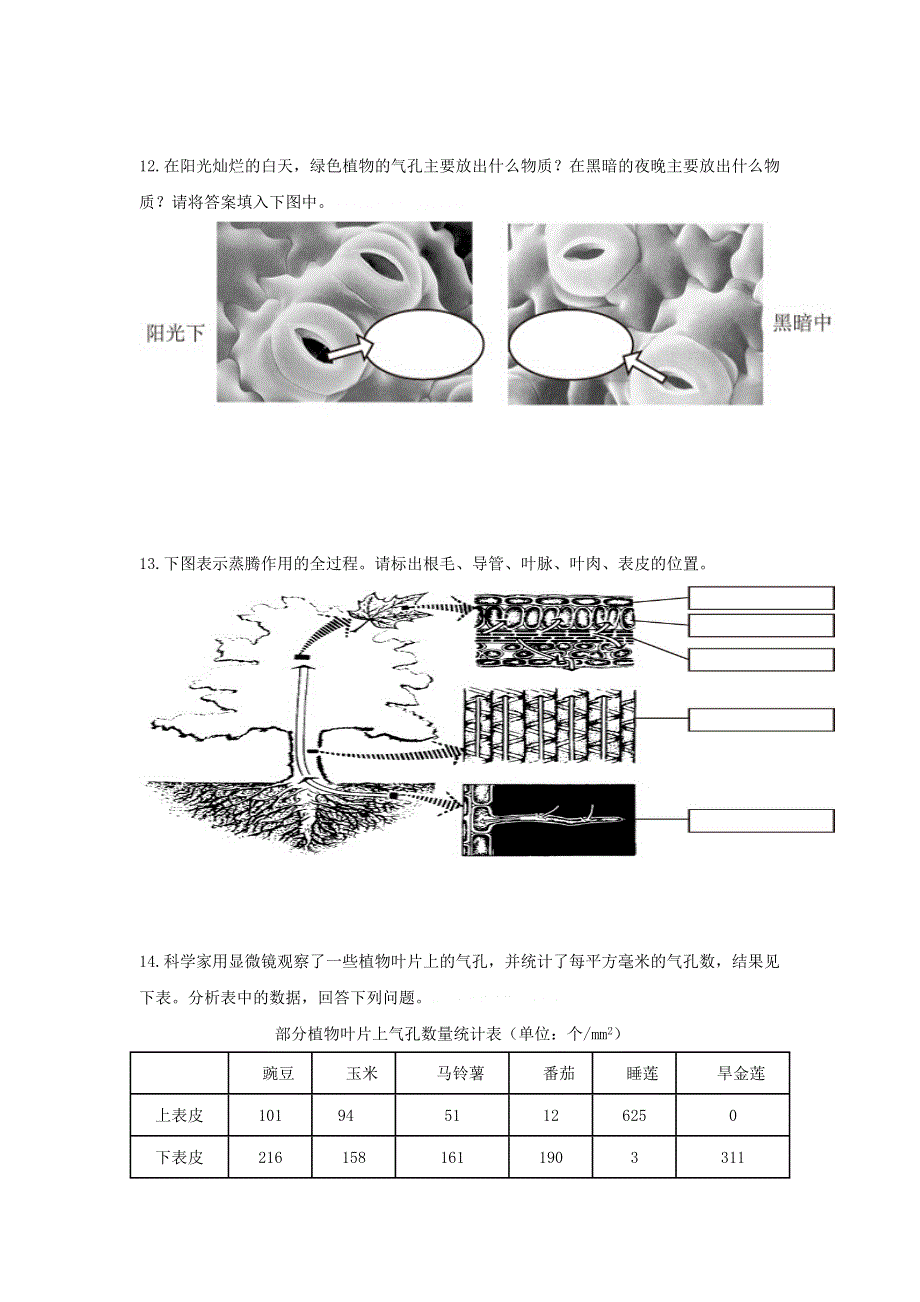 七年级生物上册 第三单元 生物圈中的绿色植物 第三章 绿色植物与生物圈的水循环习题4（新版）新人教版.doc_第3页